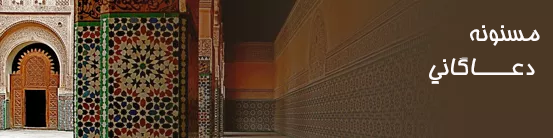 اسلامی نونونه