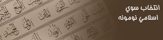 اسلامی نونونه